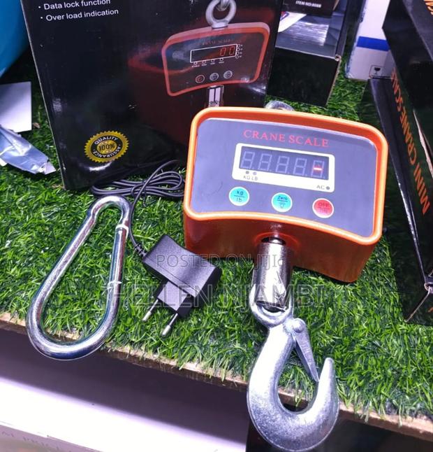 500kgs Crane Scale - main view