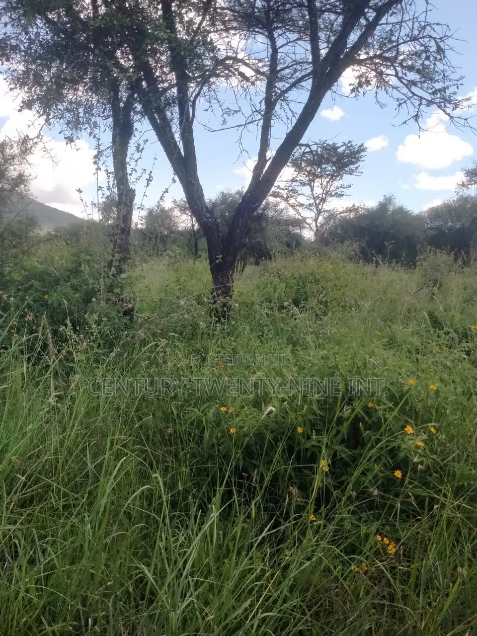Konza South Land