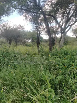 Konza South Land