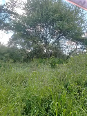 Konza South Land