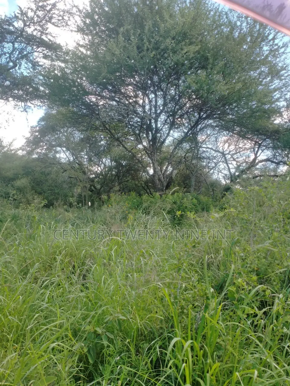 Konza South Land