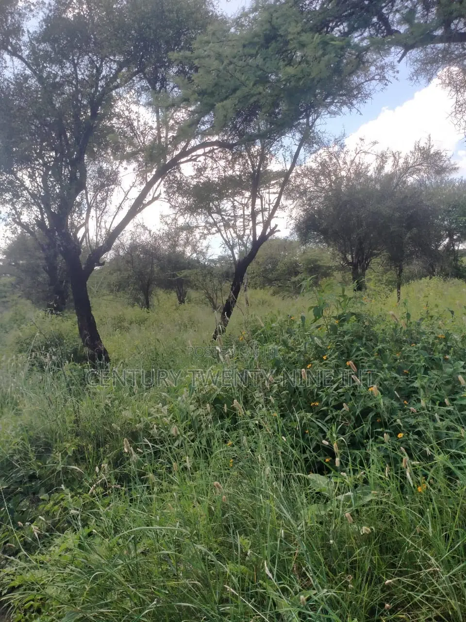 Konza South Land