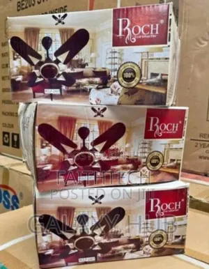 Roch 24inches Ceiling Fan