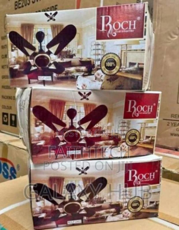 Roch 24inches Ceiling Fan - main view