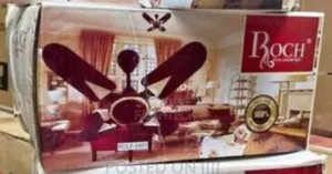 Roch 24inches Ceiling Fan