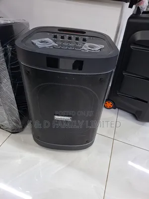 Temeisheng 12 Inch Portable Speaker