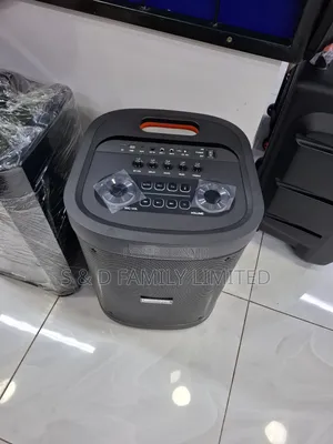 Temeisheng 12 Inch Portable Speaker