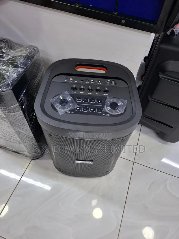 Temeisheng 12 Inch Portable Speaker - thumbnail 2