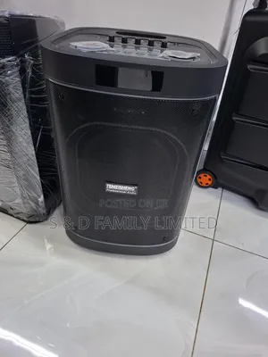 Temeisheng 12 Inch Portable Speaker