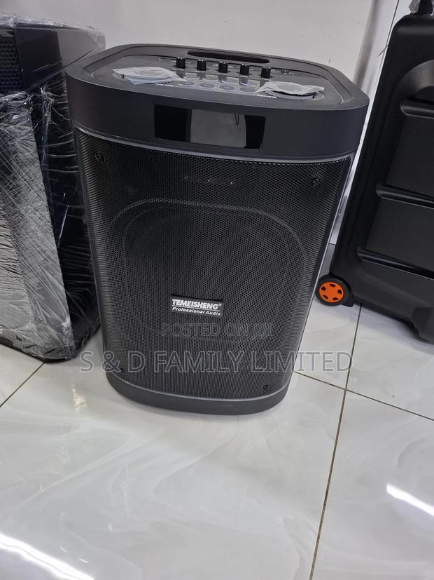 Temeisheng 12 Inch Portable Speaker - thumbnail 3