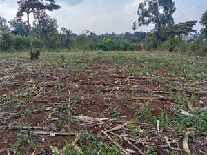 Prime Quarter Acre (0.104ha) in Olkeri, Ngong - thumbnail 2