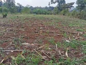 Prime Quarter Acre (0.104ha) in Olkeri, Ngong