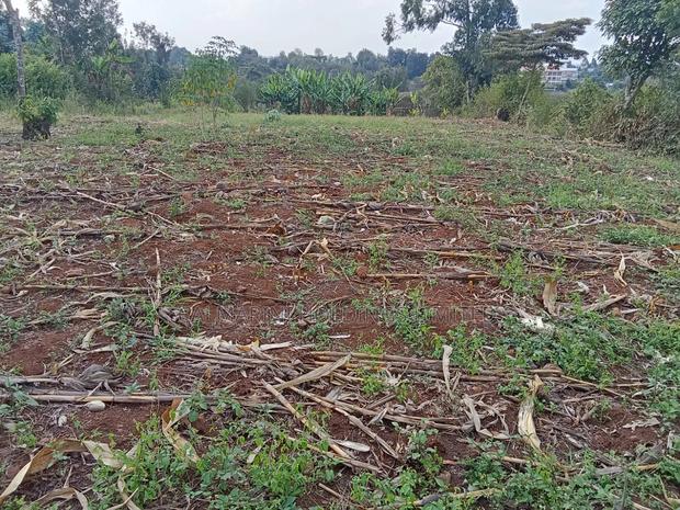 Prime Quarter Acre (0.104ha) in Olkeri, Ngong - thumbnail 4