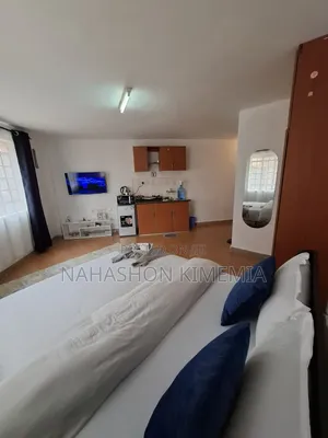 Top-Notch BNB Bedsitter TRM Drive Roysambu Thika Road Nairobi Kenya