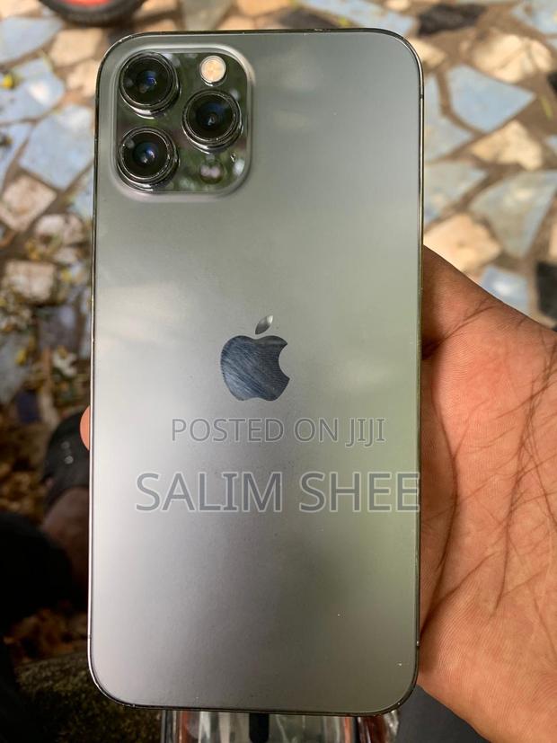 Apple iPhone 12 Pro Max 128 GB Gray - thumbnail 4
