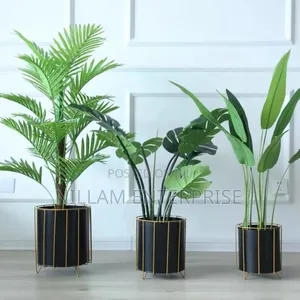 Elegant 3pcs Flower Pot*