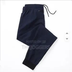 Men's Lightweight Quick Dry Casual Jogger Gym Hiking Pant With Pockets