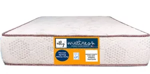 10 Inch Spring/Orthopedics Mattress