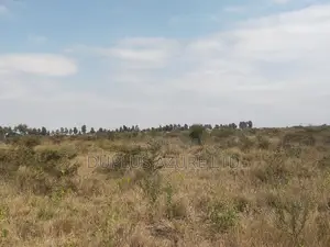 4 Acres in Kajiado-Ildamat