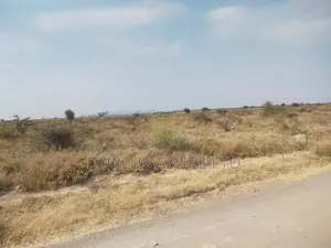 4 Acres in Kajiado-Ildamat