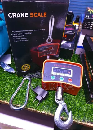 Mini Crane Scale 500kg, Model Ocs-L.