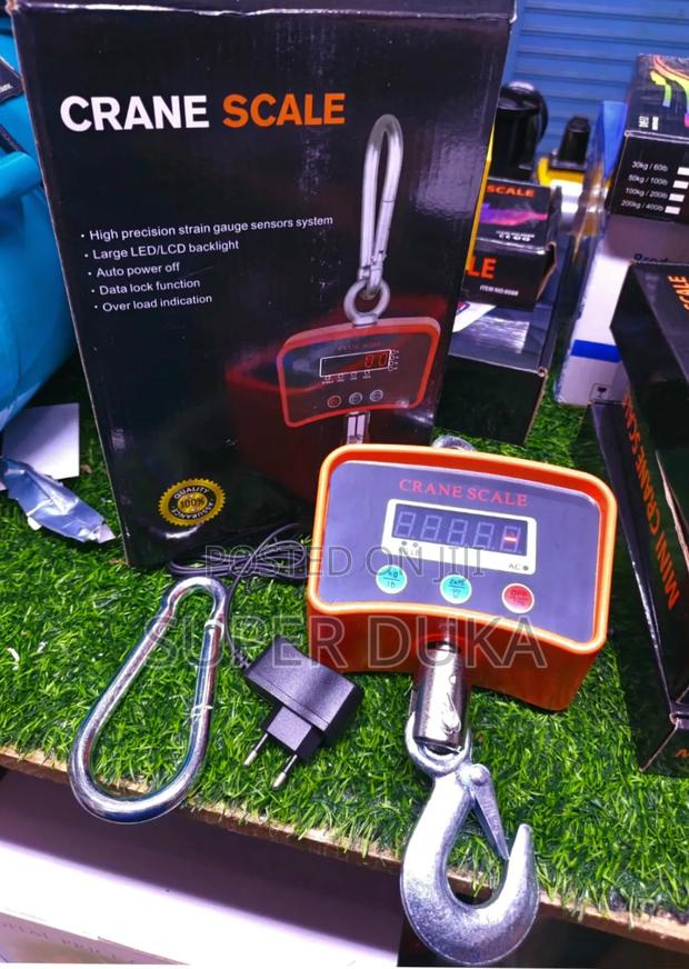 Mini Crane Scale 500kg, Model Ocs-L. - main view