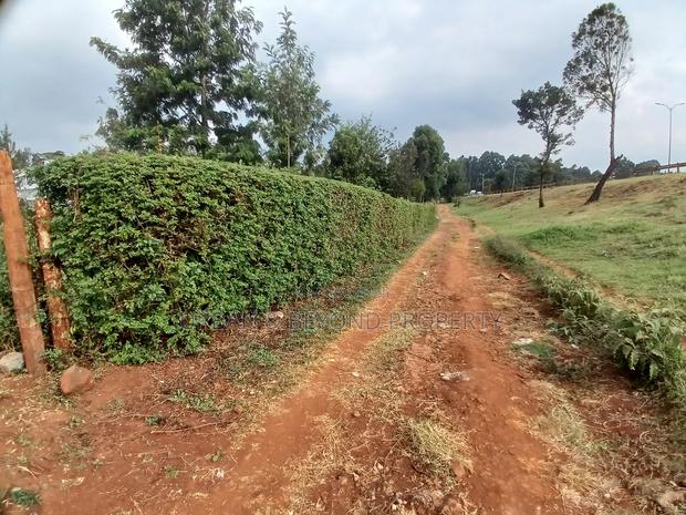 Prime Land for Lease (3⁄4 Acre) - thumbnail 4