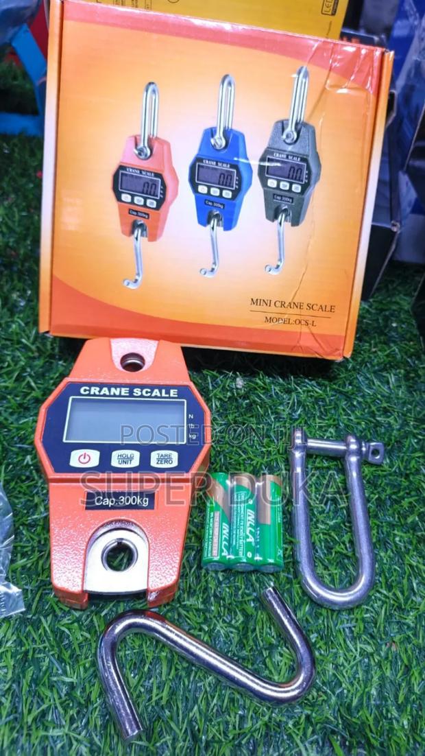 Mini Crane Scale 300kg - main view