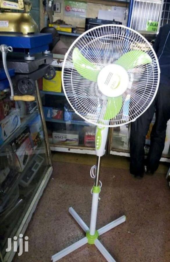Standing Fans