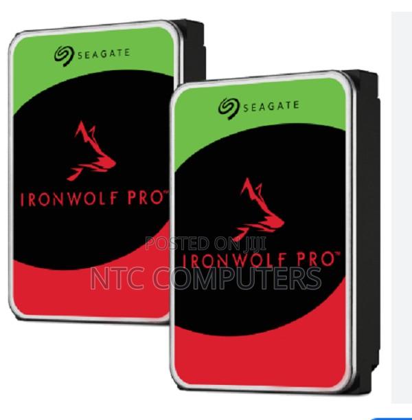 Seagate Ironwolf Red Nas HDD 10 Tb - main view