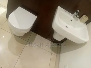 Toilet Repair/Unclogging