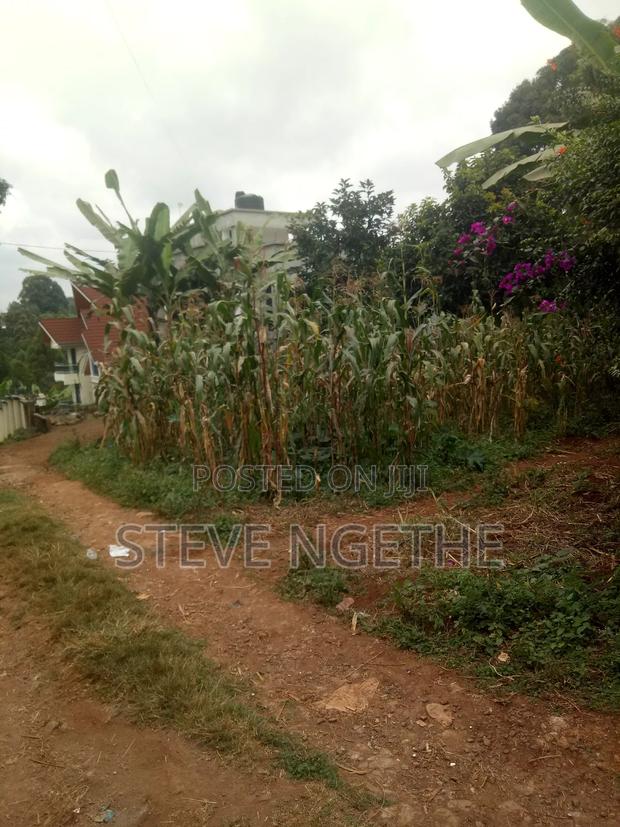 Plot For Sale Kagongo Karura Road - thumbnail 4