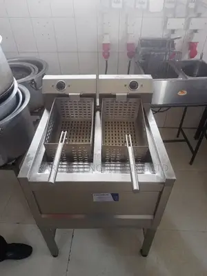 Stainless Steel Double Fryer