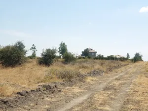 Prime 1/8th Acre Affordable Plots in Isinya