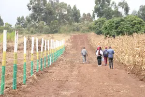 Have a Plot in Mbomboini Estate