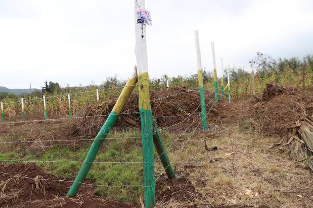 Mbomboini Estate – Prime Plots for Sale - thumbnail 2