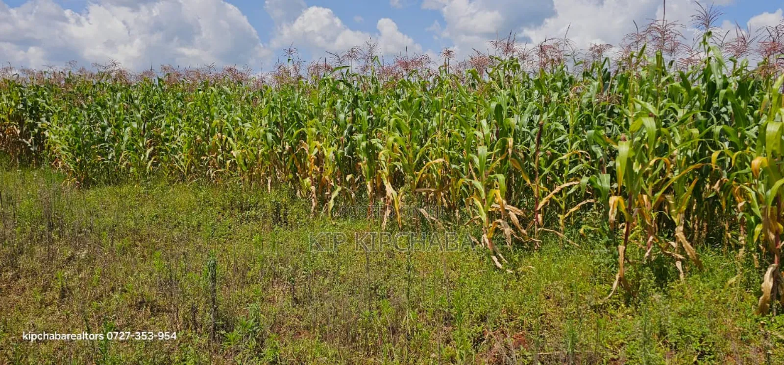 Prime Plots for Sale in Illula Limo in Eldoret