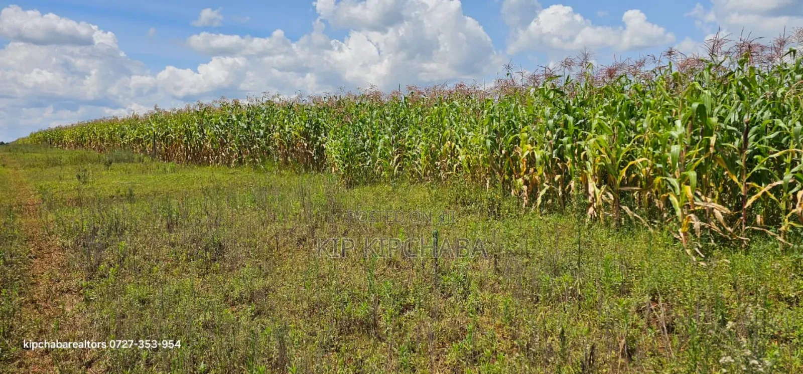 Prime Plots for Sale in Illula Limo in Eldoret