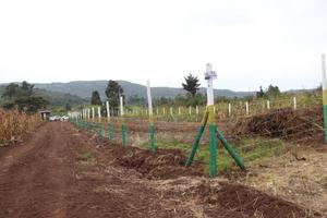 Own Land in Nachu Limited Plots Remaining - thumbnail 2