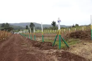 Own Land in Nachu Limited Plots Remaining