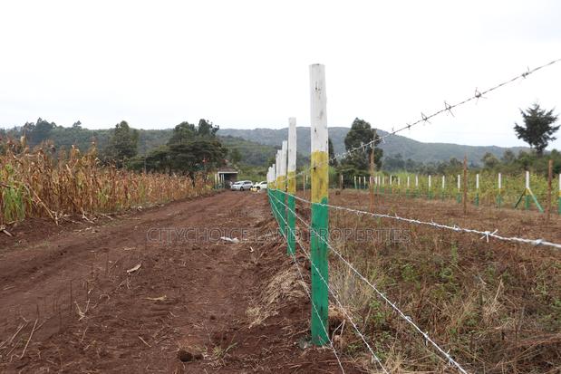 Own Land in Nachu Limited Plots Remaining - thumbnail 3