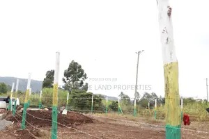 Affordable 50x100 Plots for Sale – Mbomboini Estate