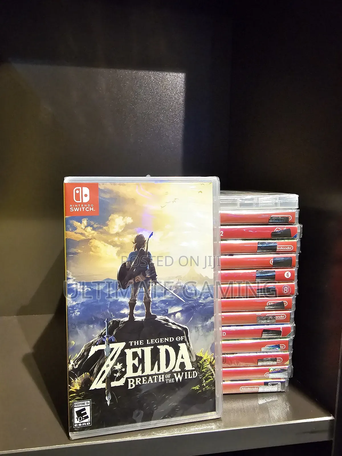 Nintendo Switch the Legend of Zelda Breath of the Wild