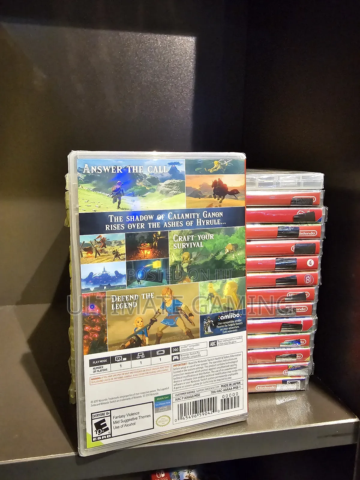 Nintendo Switch the Legend of Zelda Breath of the Wild