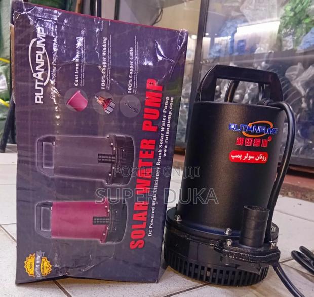 Rutan Pump 250 Watts 24volts Max Head 50m 20m Cable. - main view