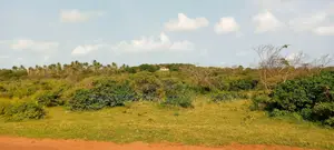 2 Acres of Beach Plot in Ngomeni