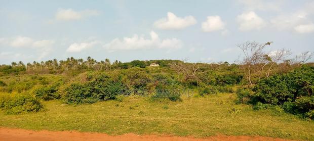 2 Acres of Beach Plot in Ngomeni - thumbnail 2