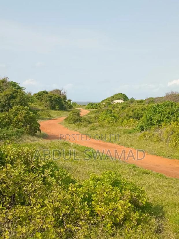 2 Acres of Beach Plot in Ngomeni - main view