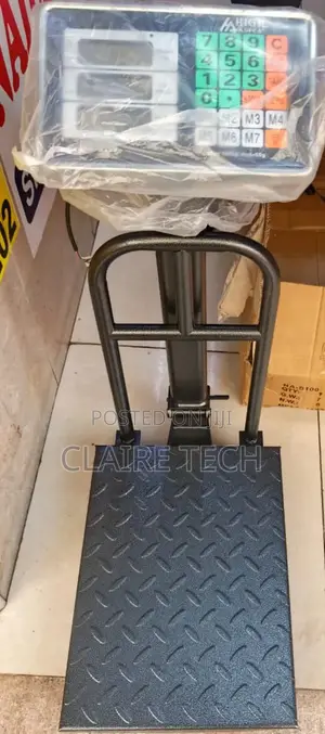 200kg Scale High Astra Heavy Duty Platform Scale