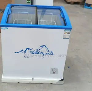 "Ecomax 159l Display Freezer – Showcase Your Frozen Goods in Style